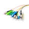 12 Core Fiber Optic Pigtails UPC APC Untuk Jaringan FTTH FTTB FTTX